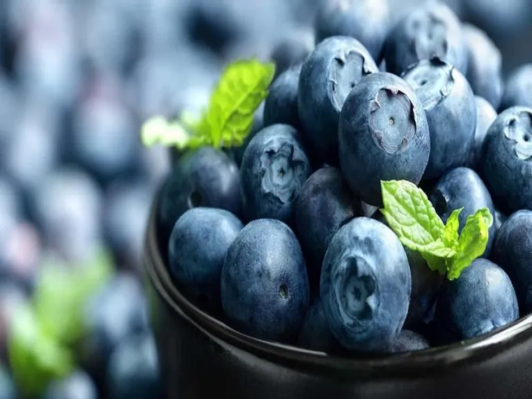 Benefits of Blueberries for Diabetes? These are the facts