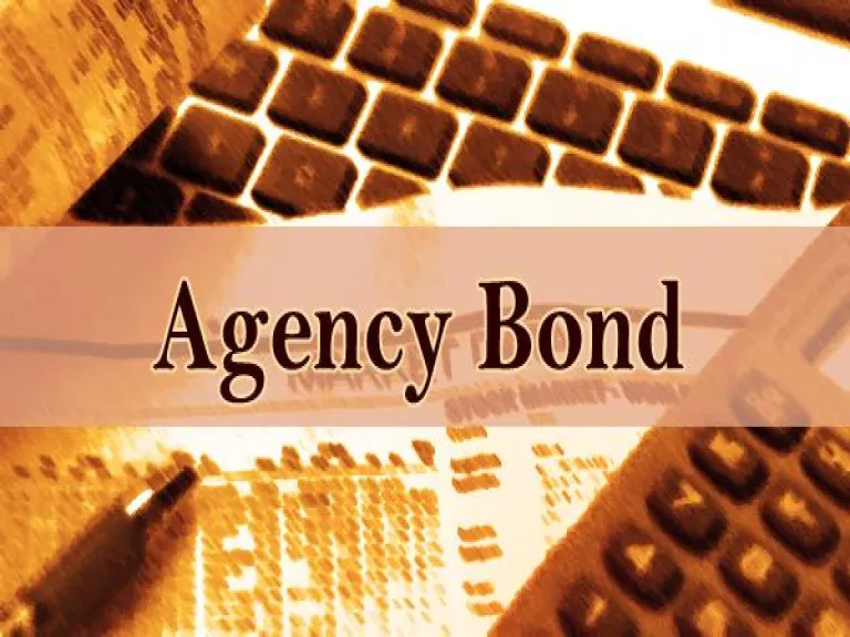 What is Agency Bond in Business- Zoefact